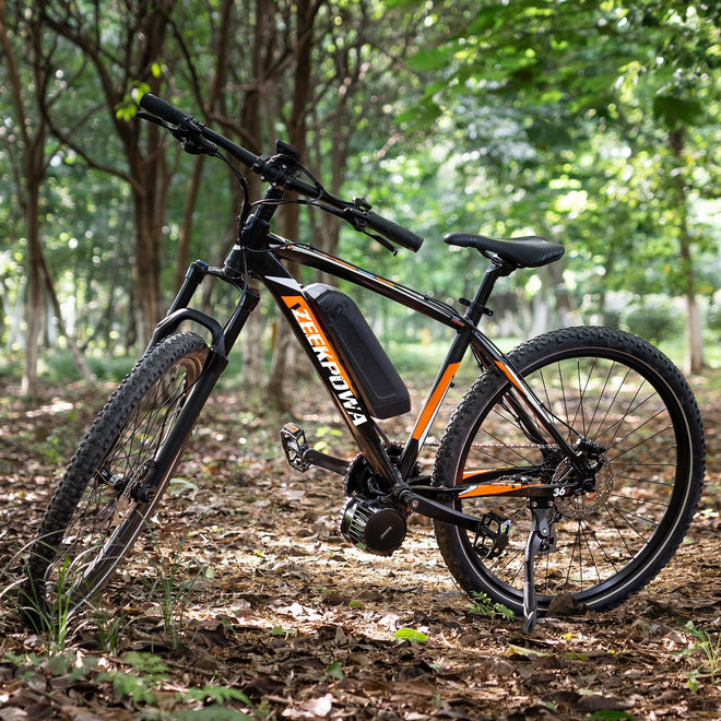 Trasforma la bici in elettrica!